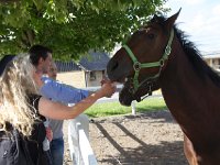 MG 3243  Nulstilling i Hazard-klubben 2013 hos Århus Væddeløbsbane : Hazardklub, Hest, Trav, Århus