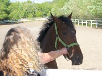 MG 3247  Nulstilling i Hazard-klubben 2013 hos Århus Væddeløbsbane : Hazardklub, Hest, Trav, Århus