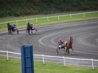 MG 3255  Nulstilling i Hazard-klubben 2013 hos Århus Væddeløbsbane : Hazardklub, Hest, Trav, Århus