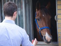 MG 3264  Nulstilling i Hazard-klubben 2013 hos Århus Væddeløbsbane : Hazardklub, Hest, Trav, Århus