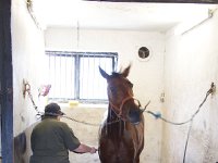 MG 3272  Nulstilling i Hazard-klubben 2013 hos Århus Væddeløbsbane : Hazardklub, Hest, Trav, Århus