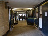 MG 3273  Nulstilling i Hazard-klubben 2013 hos Århus Væddeløbsbane : Hazardklub, Hest, Trav, Århus