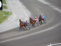 MG 3291  Nulstilling i Hazard-klubben 2013 hos Århus Væddeløbsbane : Hazardklub, Hest, Trav, Århus