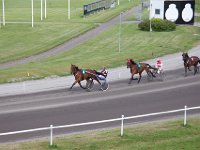 MG 3294  Nulstilling i Hazard-klubben 2013 hos Århus Væddeløbsbane : Hazardklub, Hest, Trav, Århus