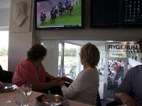 MG 3320  Nulstilling i Hazard-klubben 2013 hos Århus Væddeløbsbane : Hazardklub, Hest, Trav, Århus