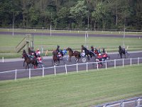 MG 3357  Nulstilling i Hazard-klubben 2013 hos Århus Væddeløbsbane : Hazardklub, Hest, Trav, Århus