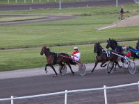 MG 3373  Nulstilling i Hazard-klubben 2013 hos Århus Væddeløbsbane : Hazardklub, Hest, Trav, Århus