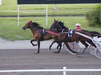 MG 3377  Nulstilling i Hazard-klubben 2013 hos Århus Væddeløbsbane : Hazardklub, Hest, Trav, Århus