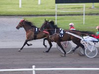 MG 3378  Nulstilling i Hazard-klubben 2013 hos Århus Væddeløbsbane : Hazardklub, Hest, Trav, Århus