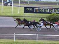 MG 3385  Nulstilling i Hazard-klubben 2013 hos Århus Væddeløbsbane : Hazardklub, Hest, Trav, Århus