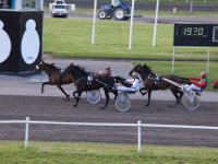 MG 3387  Nulstilling i Hazard-klubben 2013 hos Århus Væddeløbsbane : Hazardklub, Hest, Trav, Århus