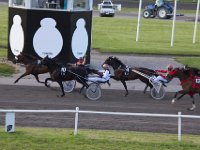 MG 3388  Nulstilling i Hazard-klubben 2013 hos Århus Væddeløbsbane : Hazardklub, Hest, Trav, Århus