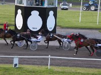 MG 3389  Nulstilling i Hazard-klubben 2013 hos Århus Væddeløbsbane : Hazardklub, Hest, Trav, Århus