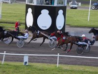 MG 3390  Nulstilling i Hazard-klubben 2013 hos Århus Væddeløbsbane : Hazardklub, Hest, Trav, Århus