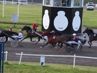 MG 3391  Nulstilling i Hazard-klubben 2013 hos Århus Væddeløbsbane : Hazardklub, Hest, Trav, Århus