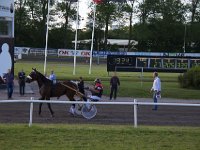 MG 3418  Nulstilling i Hazard-klubben 2013 hos Århus Væddeløbsbane : Hazardklub, Hest, Trav, Århus