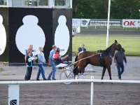 MG 3422  Nulstilling i Hazard-klubben 2013 hos Århus Væddeløbsbane : Hazardklub, Hest, Trav, Århus