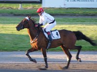 MG 3449  Nulstilling i Hazard-klubben 2013 hos Århus Væddeløbsbane : Hazardklub, Hest, Trav, Århus