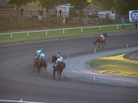 MG 3450  Nulstilling i Hazard-klubben 2013 hos Århus Væddeløbsbane : Hazardklub, Hest, Trav, Århus