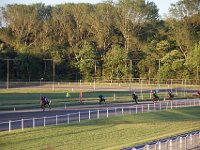 MG 3453  Nulstilling i Hazard-klubben 2013 hos Århus Væddeløbsbane : Hazardklub, Hest, Trav, Århus