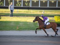 MG 3458  Nulstilling i Hazard-klubben 2013 hos Århus Væddeløbsbane : Hazardklub, Hest, Trav, Århus