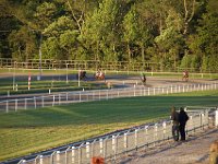 MG 3462  Nulstilling i Hazard-klubben 2013 hos Århus Væddeløbsbane : Hazardklub, Hest, Trav, Århus